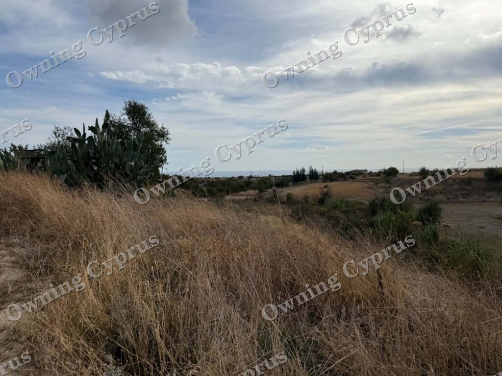 Field in Anarita
