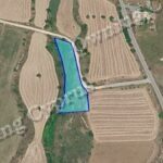 Field in Anarita